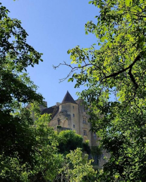 Petite maison en pierre au coeur du Périgord noir proche de Sarlat et Rocamadour